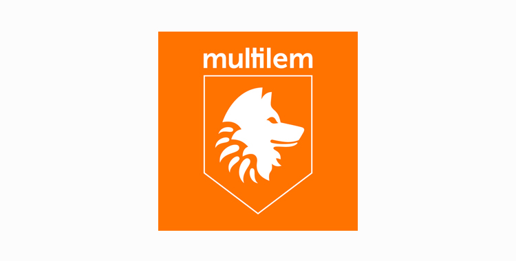 MULTILEM